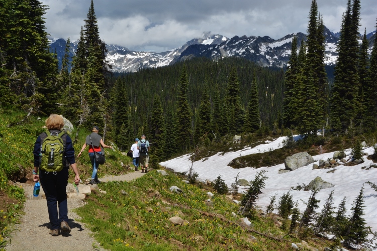 on Mt. Revelstoke